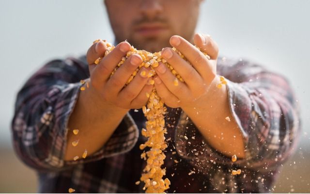 Місячний календар садівника-городника на листопад 2018 року від екстрасенсів СТБ місячний календар садівника на листопад 2018