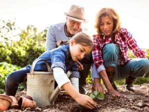 Лунный календарь на октябрь 2018 года от Хаяла Алекперова: удачные дни для любых начинаний лунный календарь садовода на ноябрь 2018