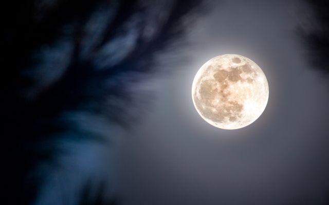 Лунный календарь на 2019 год: список удачных дней