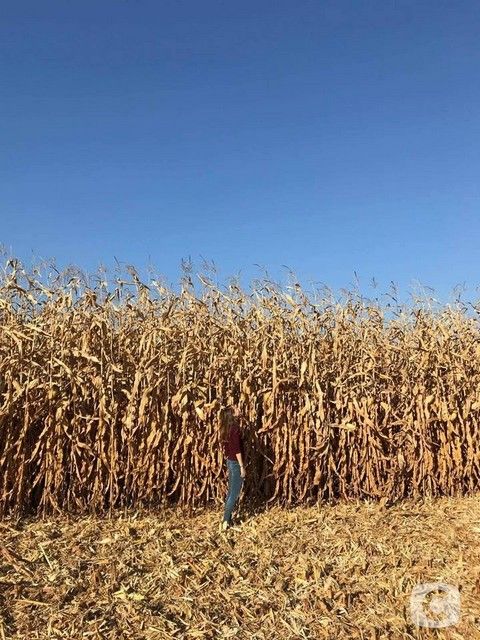 вікна-новини спецпроект за проти