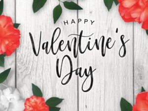 Гигантские овощи и фрукты, которые превзошли все ожидания