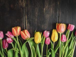 выходные в марте, выходные в марте 2018, выходные в марте 2018 в украине, выходные в марте 2018 года, выходные в марте украина, выходные дни в марте, выходные дни в марте в украине, выходные дни в марте 2018, выходные дни в марте 2018 в украине, выходные дни в марте 2019 года