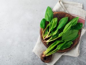 весенние рецепты