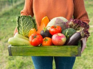 сезонные овощи и фрукты