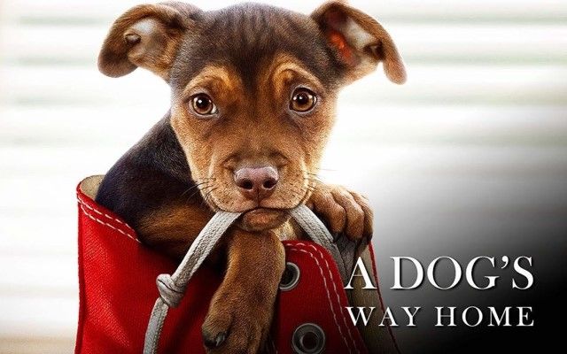 Карантин в Україні 2020: фільми для перегляду з дітьми під час карантину Що подивитись на карантині: фільмі для всієї родини