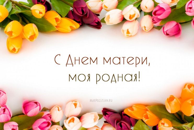 Картинки на День матери: поздравления для мамы с днем матери