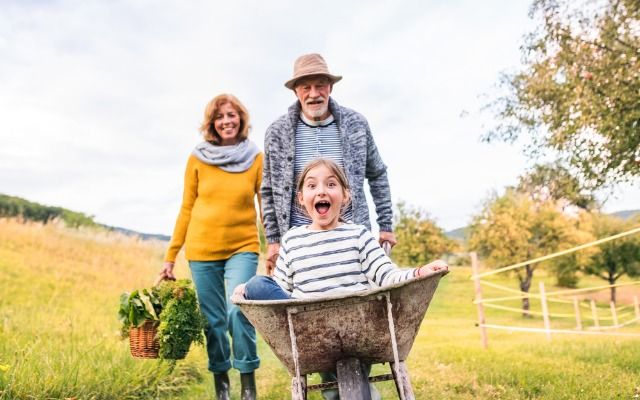 Лунный календарь садовода-огородника на июнь 2019 года от экстрасенса Ольги Калиновой лунный календарь садовода на июнь 2019