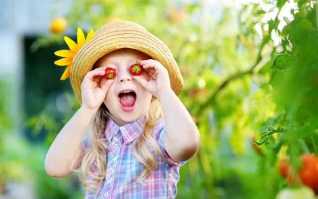 Мероприятия ко Дню защиты детей 2019 в Киеве мероприятие