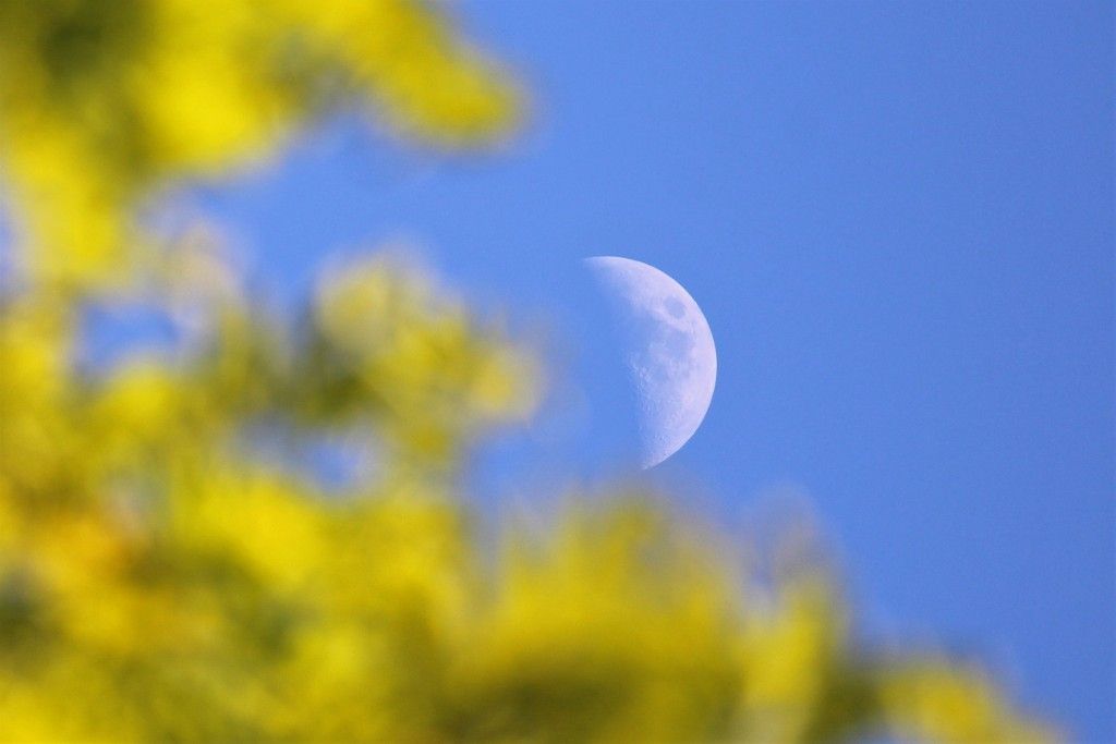 Спадаючий Місяць у червні 2019 року