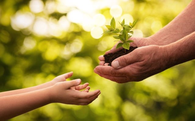 Лунный календарь садовода-огородника на июль 2019 года