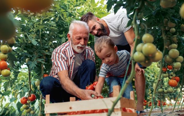 Лунный календарь садовода-огородника на июль 2019 года