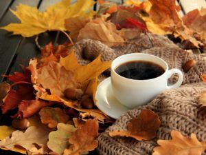 Выходные в сентябре 2019 года