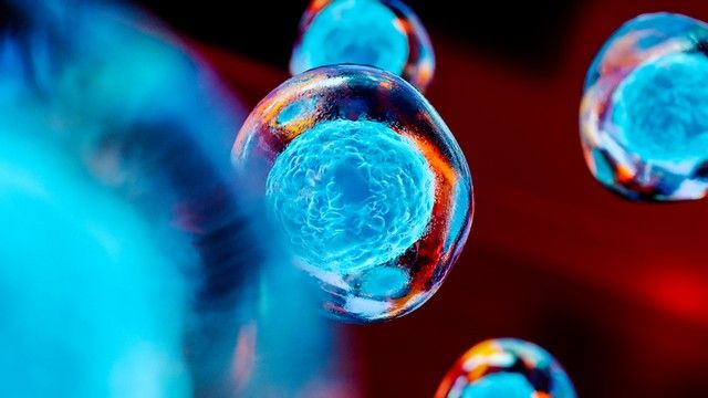Что такое ДНК и генетический тест ДНК: что такое ДНК и как проводят генетический тест ДНК