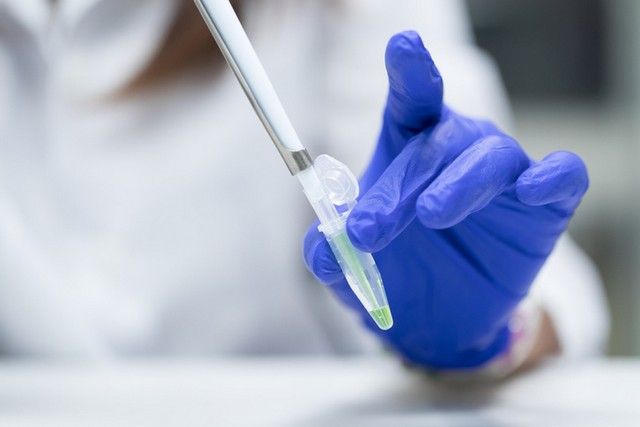 Найцікавіші факти про таємниці вашої ДНК ДНК – цікаві факти про ДНК