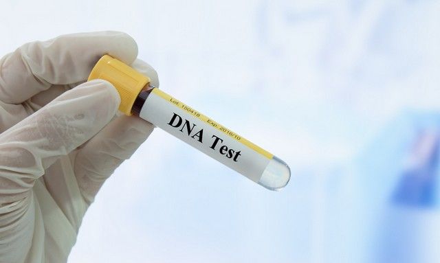 Что такое ДНК и генетический тест днк тест