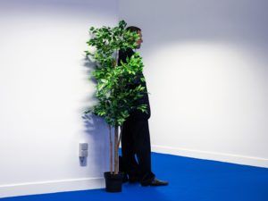 StarLightMedia открывает двери для новых смыслов и гостей: на Тургеневской 25 пройдет выставка украинской фотографии