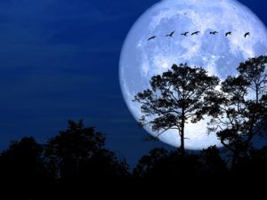 лунный календарь 2020