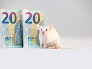 финансовый гороскоп 2020