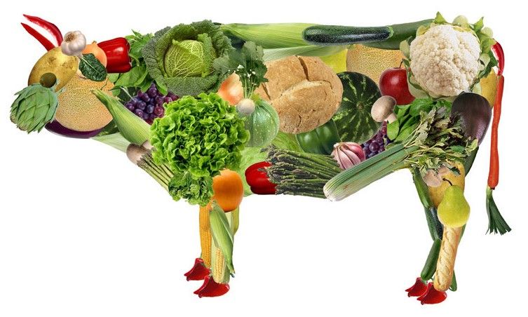 Песня Jerry Heil «Vegan» и 2020 год веганов: что общего Песня Jerry Heil Vegan и 2020 год веганов: что общего