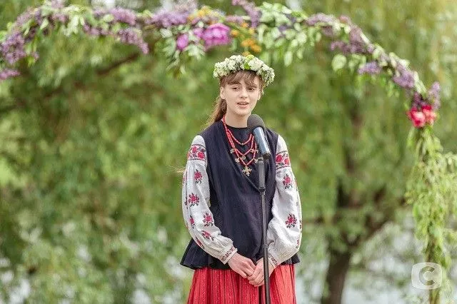 «Спіймати Кайдаша»: сюжет та опис серій кайдаши