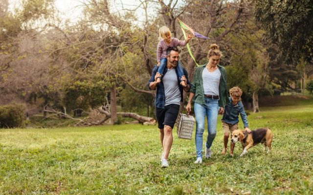 Коронавирус в Украине 2020: чем занять ребенка коронавирус