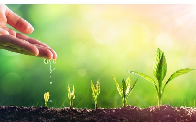 Коронавирус в Украине 2020: чем занять ребенка коронавирус