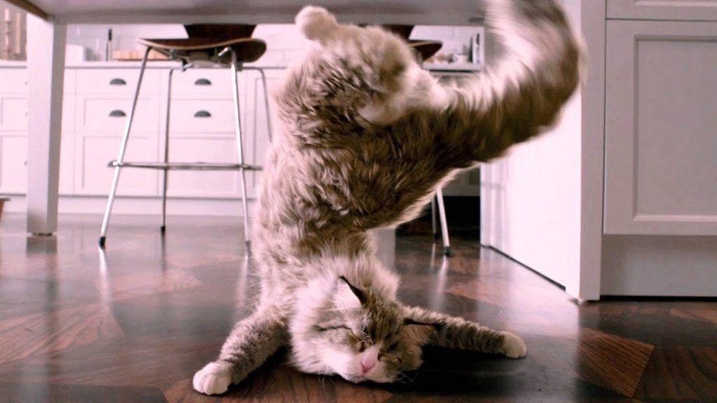 Что посмотреть на карантине: лучшие фильмы Что посмотреть на карантине: лучшие фильмы