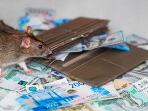 Фінансовий гороскоп на місяць серпень 2020 по знакам зодіаку