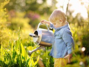 календарь садовода-огородника