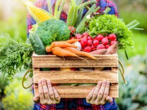 календарь садовода-огороника