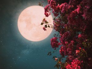 лунный календарь