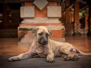 Война в Украине: информация про войну