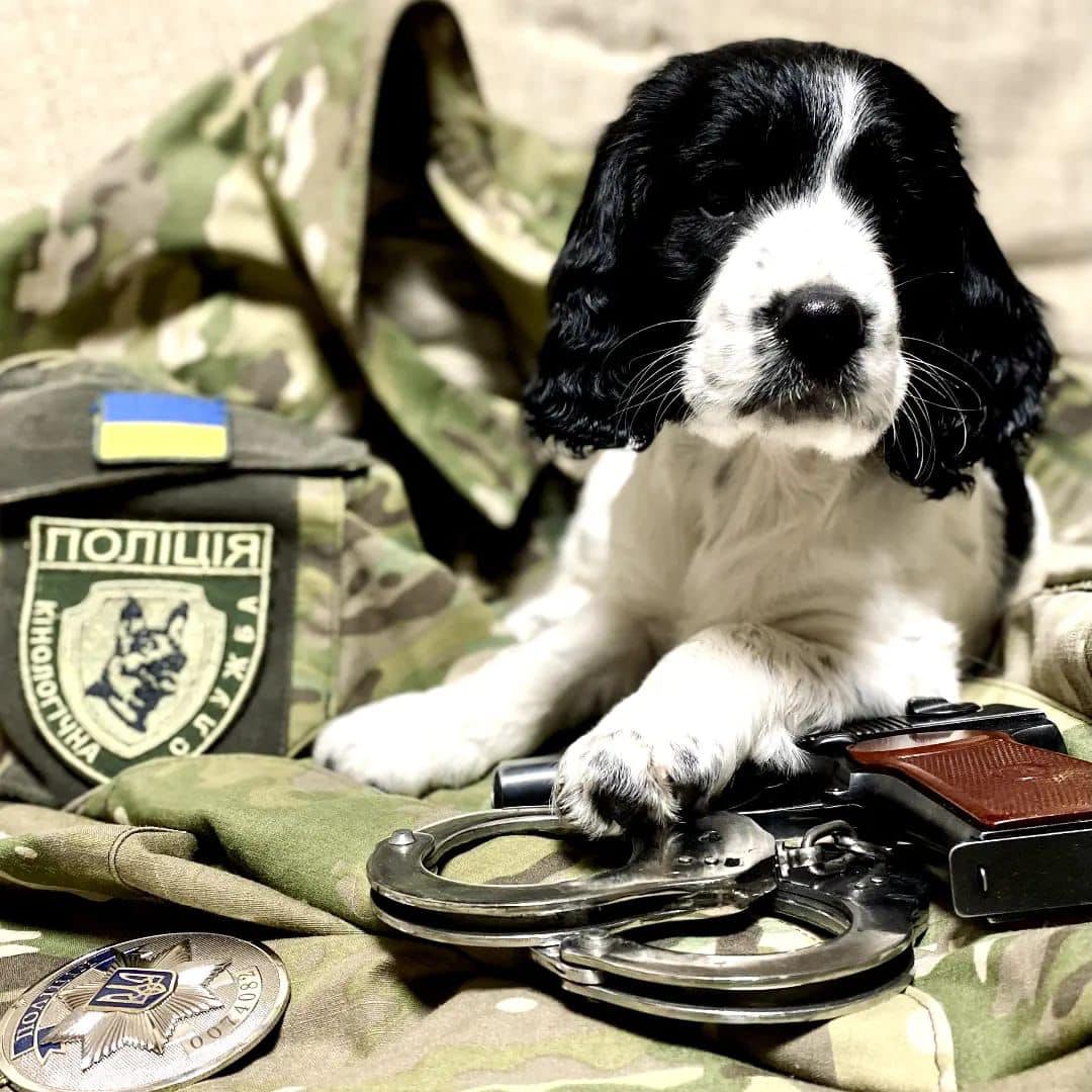 Національна поліція України