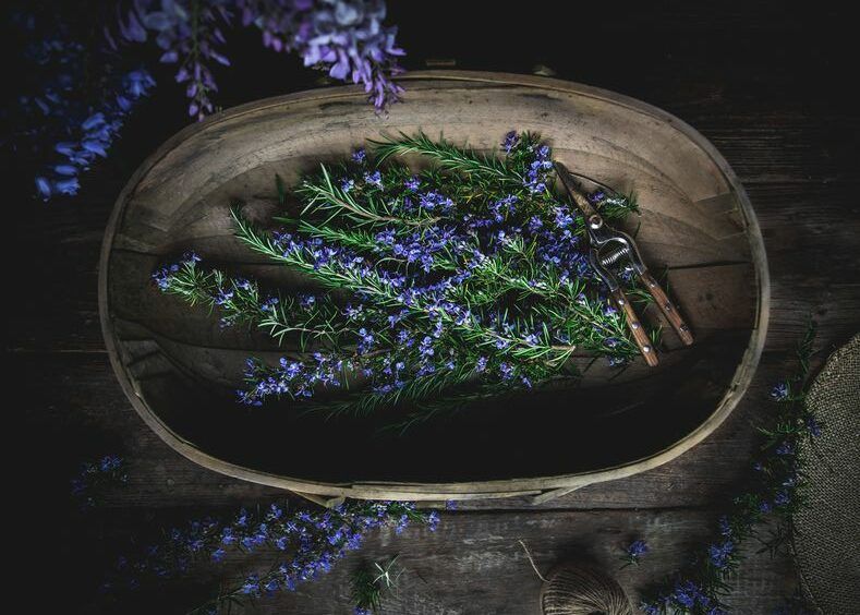 День літнього сонцестояння 2023: традиції та звичаї Літнє сонцестояння 2023 або найдовший день року: коли буде і традиції