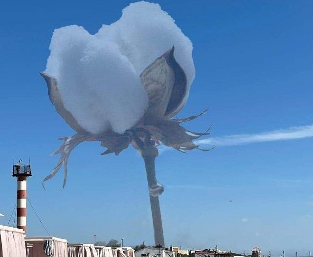 Что такое «бавовна»: почему так называют взрывы в Крыму и в россии? Бавовна