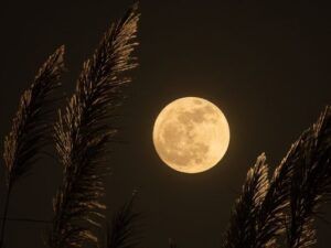 Лайфстайл Новини розділу лайфстайл: свята, рецепти, лайфхаки на сайті СТБ