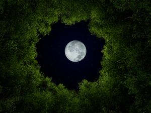 Лайфстайл Новини розділу лайфстайл: свята, рецепти, лайфхаки на сайті СТБ