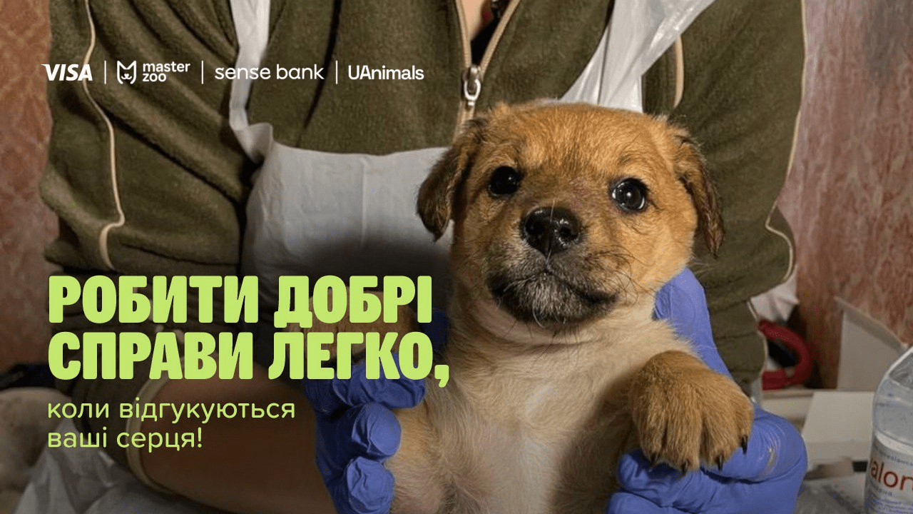 От наклеек до спасения: акция «Лапка заботы» собрала 1,5 миллиона гривен для животных у линии фронта