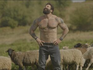 Телеканал СТБ. Дивитись онлайн відео проєктів СТБ