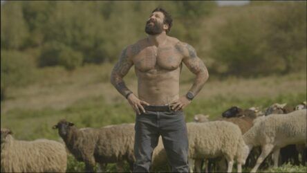 Телепрограма СТБ онлайн. Дивитися програму передач на телеканалі СТБ