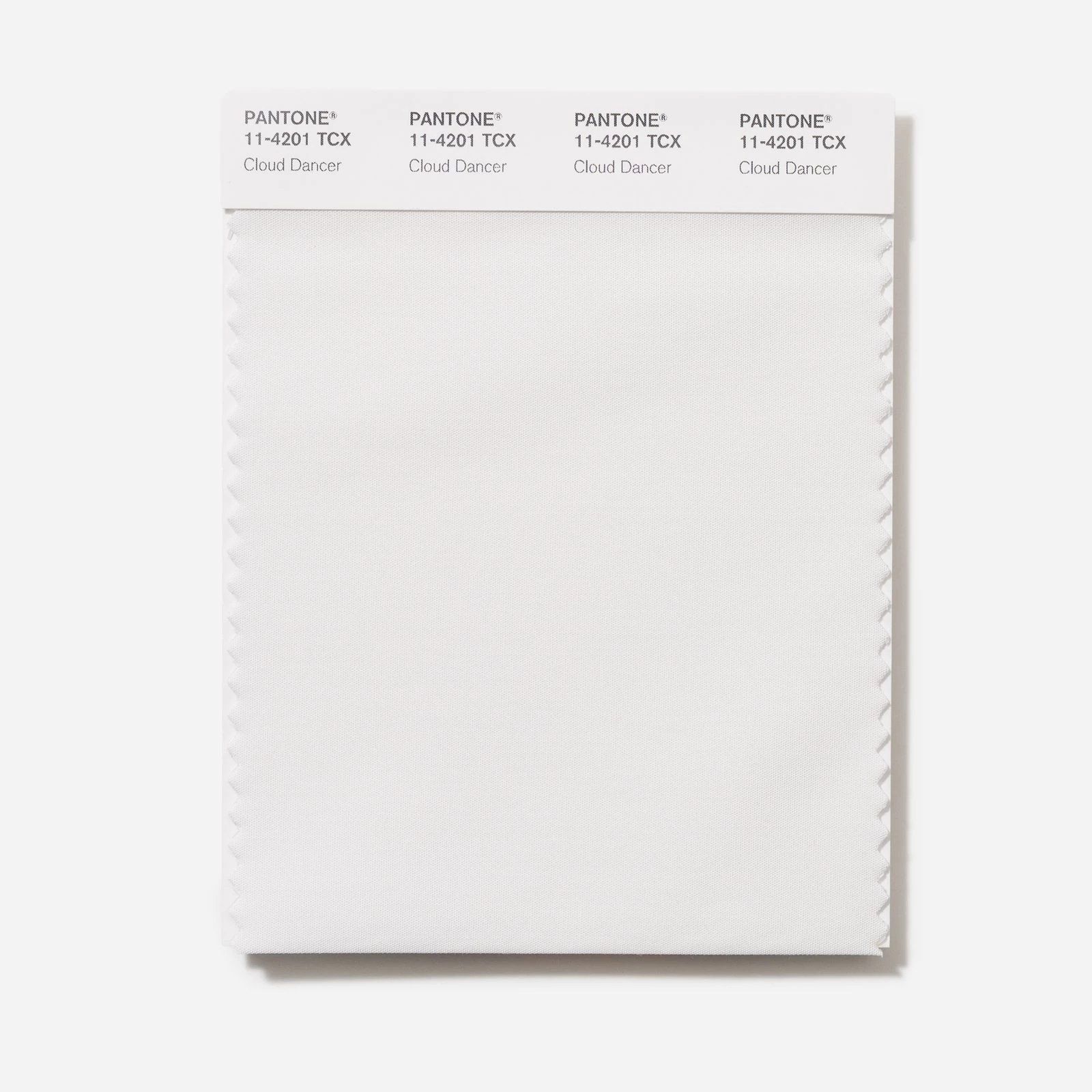 Головний колір 2026 року: Pantone назвав відтінок, що символізує новий початок Головний колір 2026 року: Pantone назвав відтінок