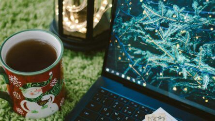 Телепрограма СТБ онлайн. Дивитися програму передач на телеканалі СТБ