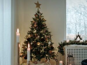 З Новим роком 2026: новорічні привітання від суддів МастерШеф