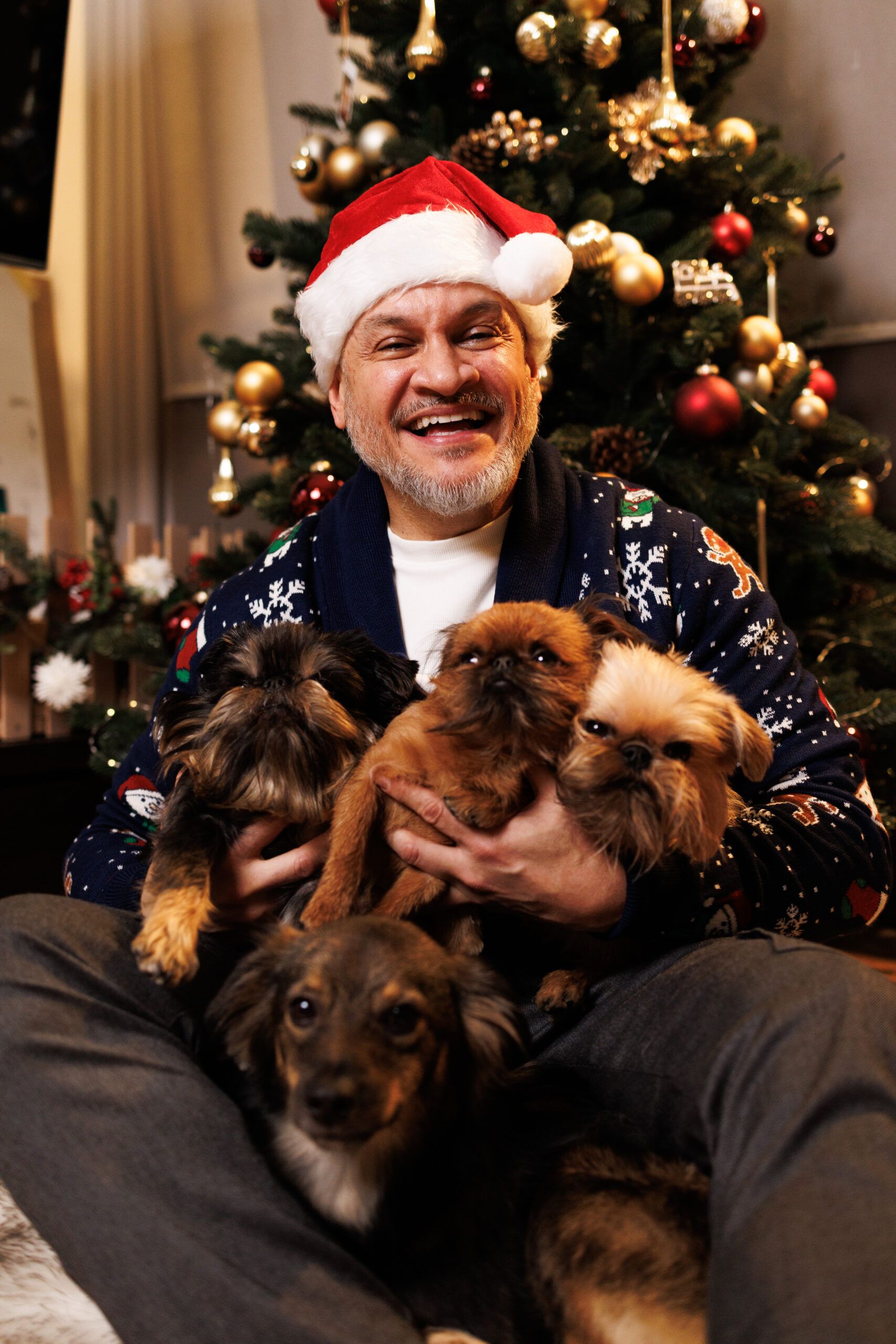 З Новим роком 2026: новорічні привітання від суддів МастерШеф