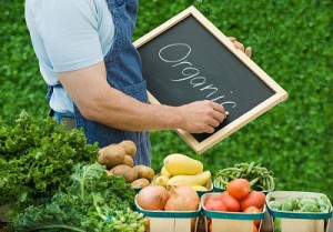 organic-in-ukraine