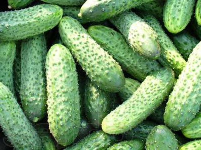Все, что вы не знали об овощах: огурцы, репа и лук чем полезны огурцы
