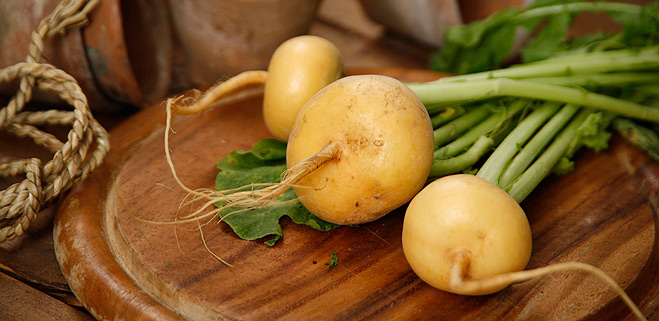 Все, что вы не знали об овощах: огурцы, репа и лук свойства репы