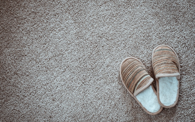 як почистити килим від шерсті