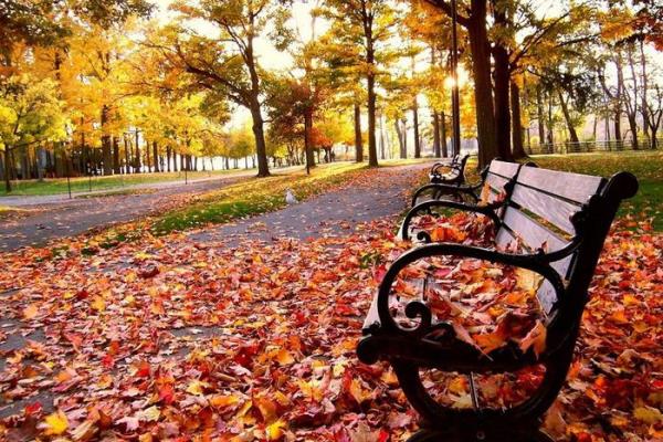 Народні прикмети на жовтень 2016 weather_october_2016
