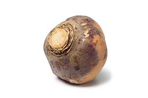 iStock_23666128_LARGE